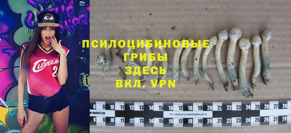 a pvp Верея