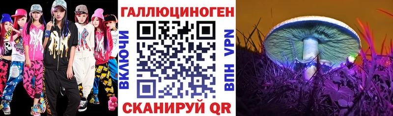 Псилоцибиновые грибы Psilocybine cubensis Борисоглебск